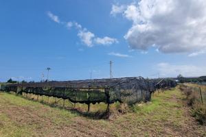Terreno Agricolo Milazzo [TA005VCG]