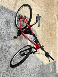 Bici ragazzo 15 anni