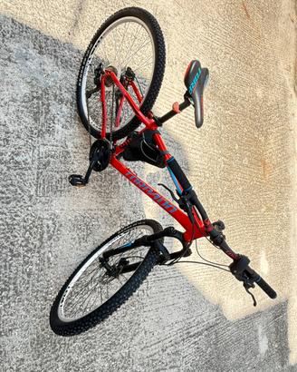 Bici ragazzo 15 anni
