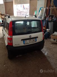 Panda 2004