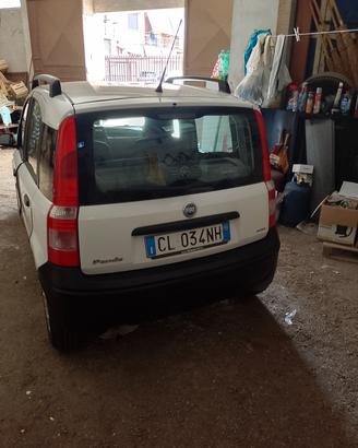 Panda 2004