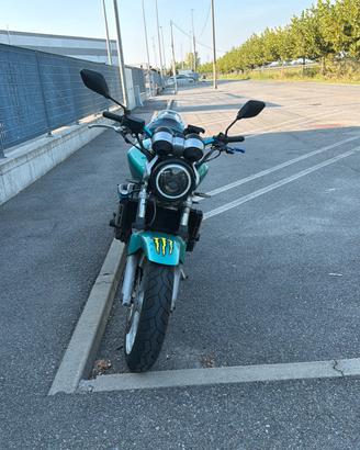 Honda Hornet