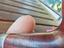 Immagine 4