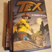 tex gigante