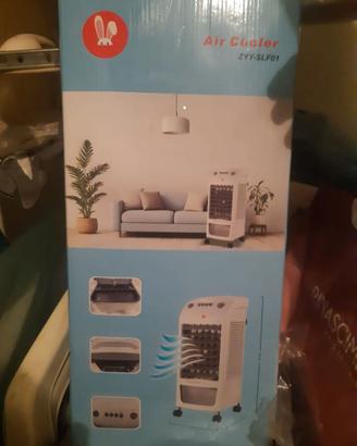 Rinfrescatore  Air cooler