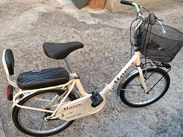 Bicicletta pieghevole  