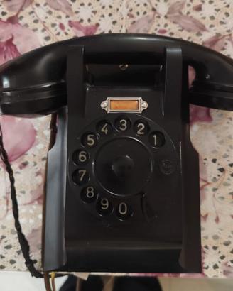 Telefono a muro