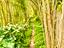 Immagine 14