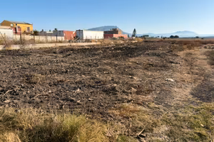 Terreno Agricolo