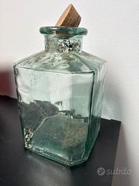 Vaso terrarium