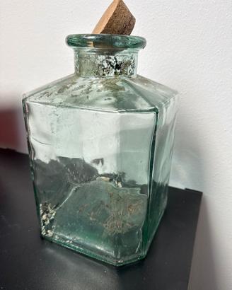 Vaso terrarium