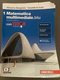Matematica multimediale.blu VOL. 1