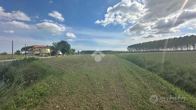 TER. AGRICOLO A SESTO AL REGHENA