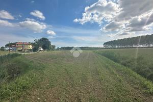 TER. AGRICOLO A SESTO AL REGHENA