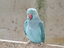 Immagine 3