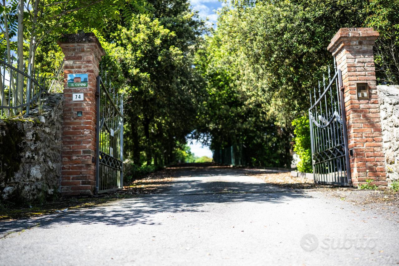 Apartment in Asciano, Siena - Altro