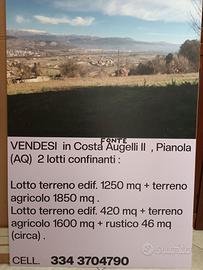 Terreno edificabile + agricolo