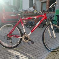 2 bici ragazzo/adulto