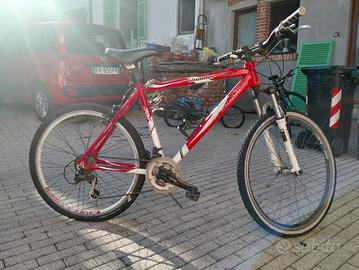 2 bici ragazzo/adulto