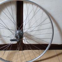 Ruota posteriore bici