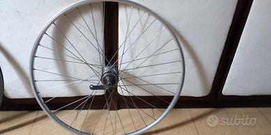 Ruota posteriore bici