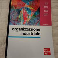 organizzazione industriale 