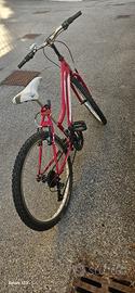 Bici per Ragazza