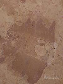 LASTRA DI ROSSO FOSSILE CON...