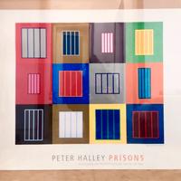 Peter Halley Prisons raro Poster Stampa 2014