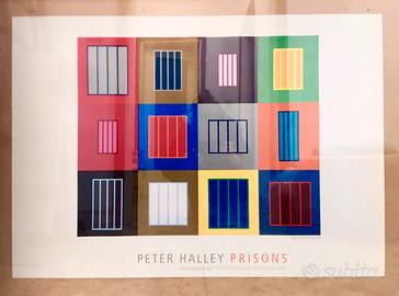 Peter Halley Prisons raro Poster Stampa 2014