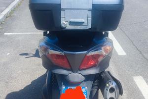 Silver Wing 400