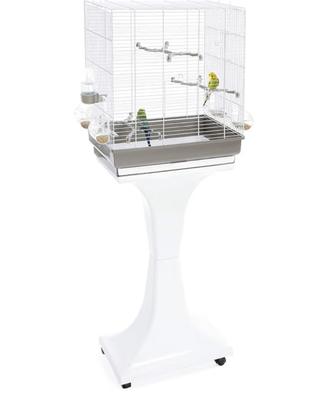 gabbia imac camilla 