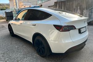 Tesla Model Y Long Range Dual Motor AWD