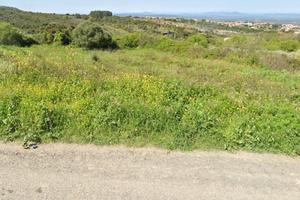 Ossi (SS), Zona Su Padrigheddu. terreno seminativo