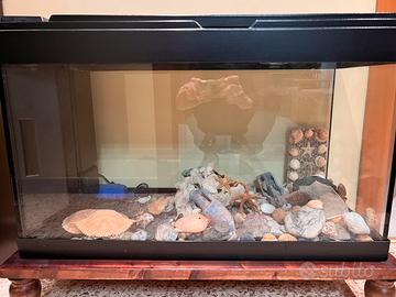 Acquario