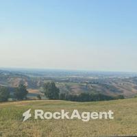 SALA BAGANZA (PR) -TERRENO AGRICOLO (3 ETTARI)