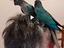 Immagine 3