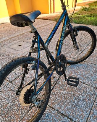 Mountain bike bambino