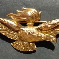 PILOTA OSSERVATORE DELL'ESERCITO 