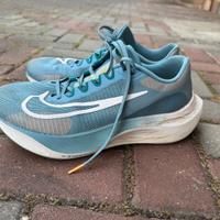 Nike zoom fly 5