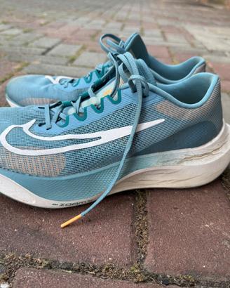 Nike zoom fly 5