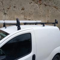 Fungone Citroen
