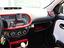 Immagine 12
