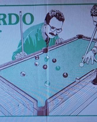 Biliardo ArcoFalc