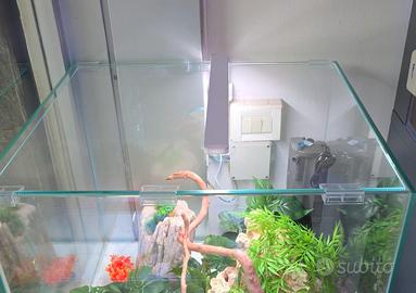 ACQUARIO 60x60x50h 180 L EXTRACHIARO CON GARANZIA 
