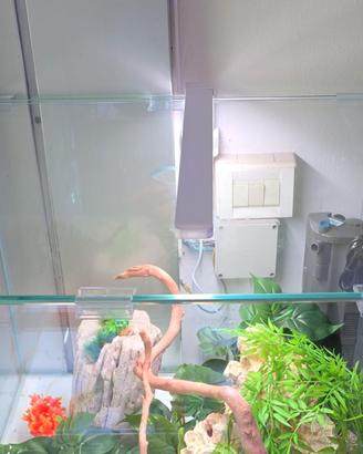 ACQUARIO 60x60x50h 180 L EXTRACHIARO CON GARANZIA 