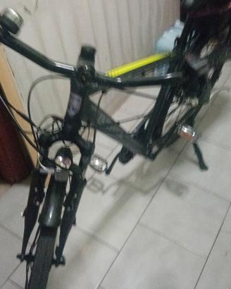 bicicletta elettrica 