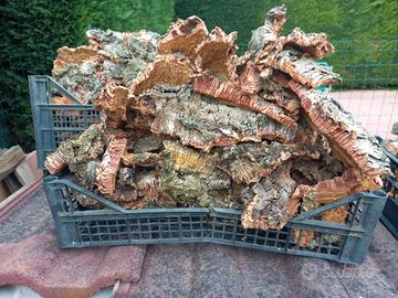 Corteccia sughero originale