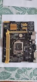 ASUS H81M-K scheda madre Motherboard Intel Socket