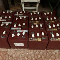 Vatterie al piombo acido